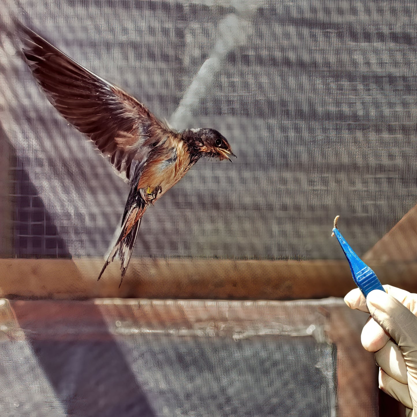 Tailored Meals for Wildlife