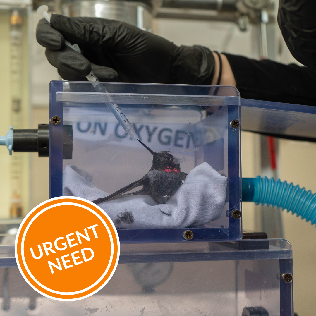 Hospital Equipment Upgrade