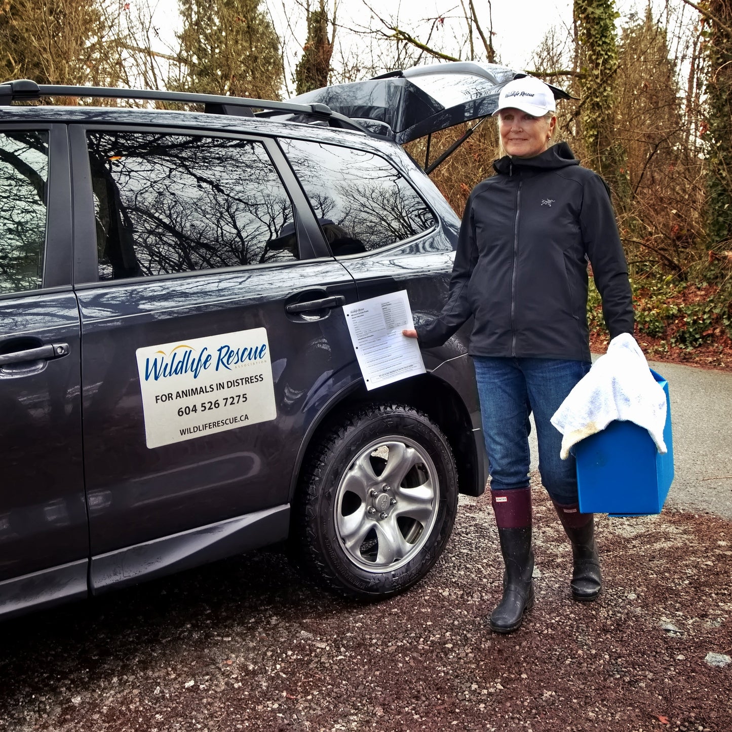 Sponsor the Release of a Wild Patient