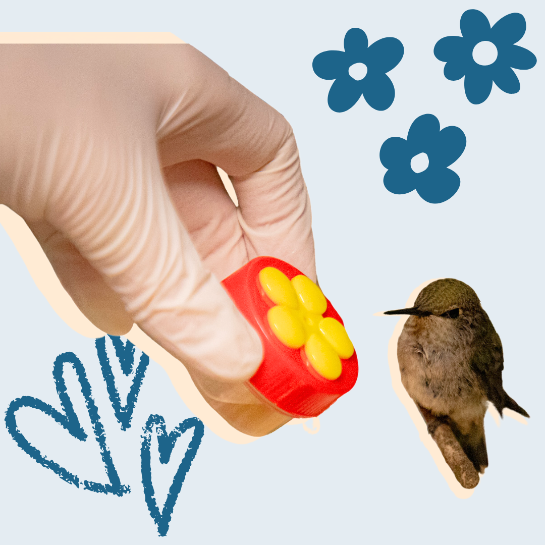 Tiny Tools for Tender Care