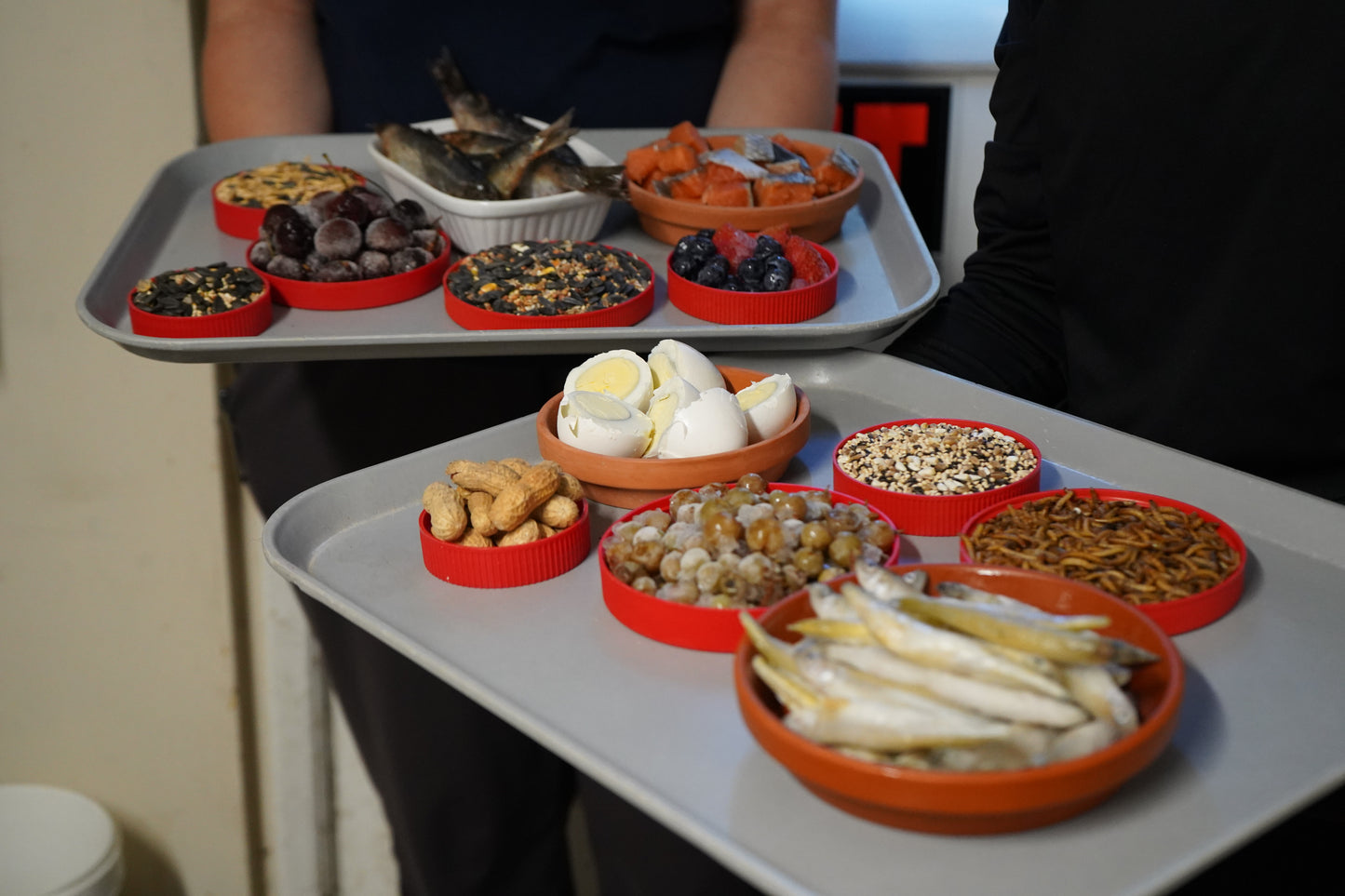Family Feast