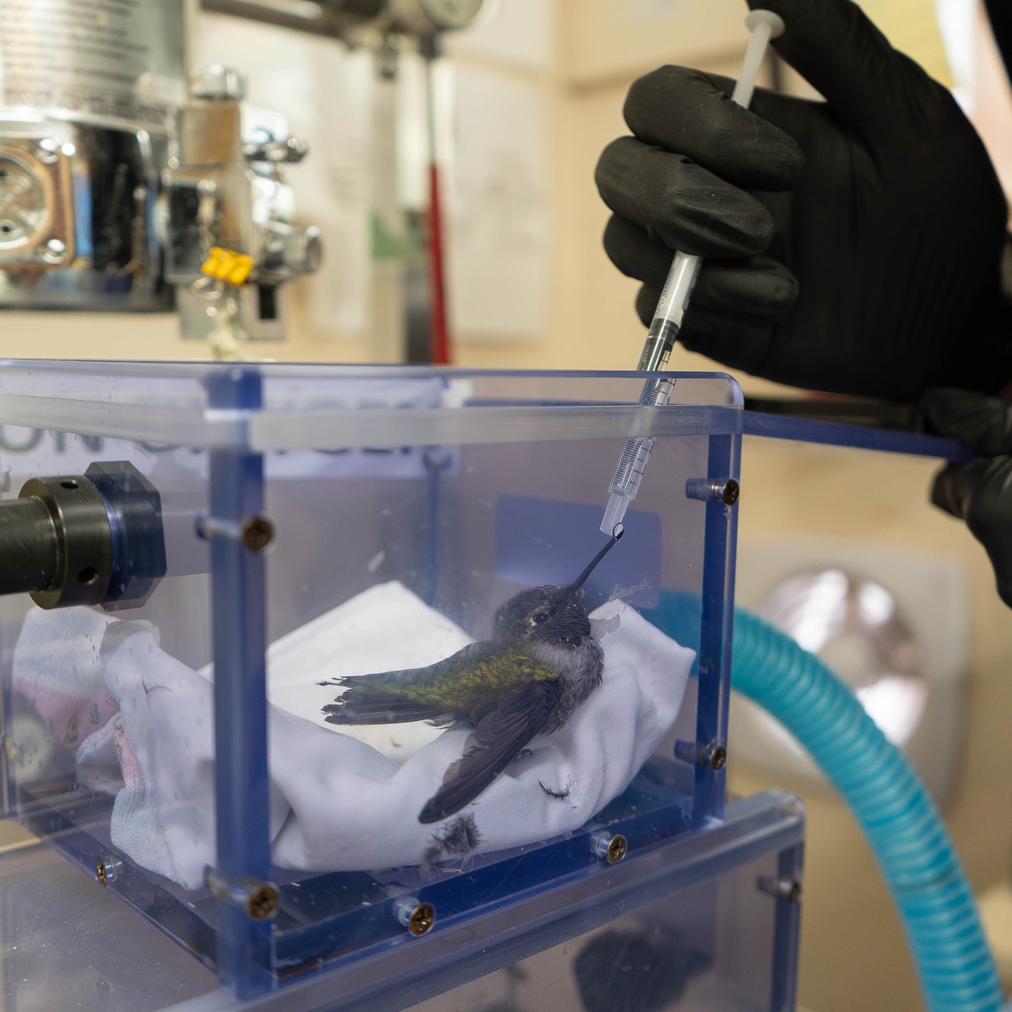 Hospital Equipment Upgrade