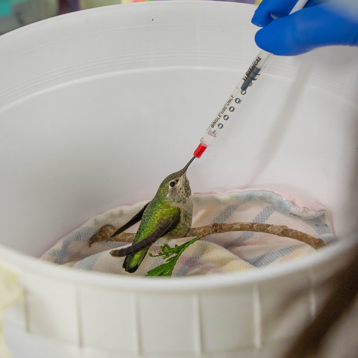 3 Days of Comfort & Pain Relief