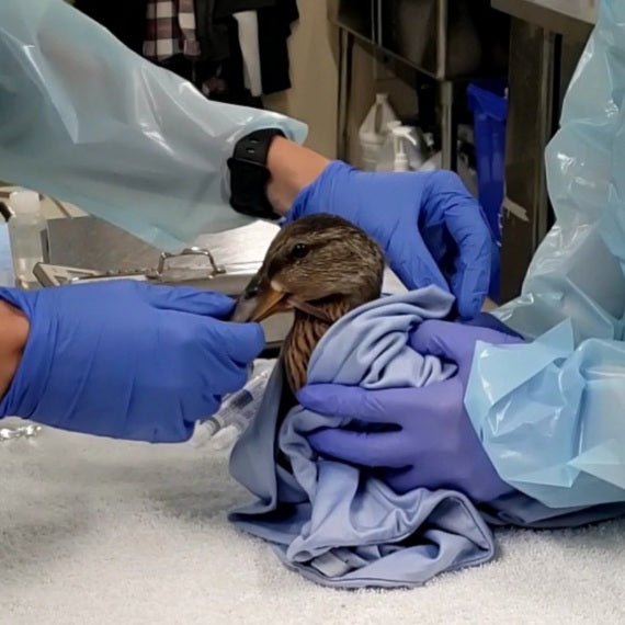 Specialized Emergency Medical Treatment