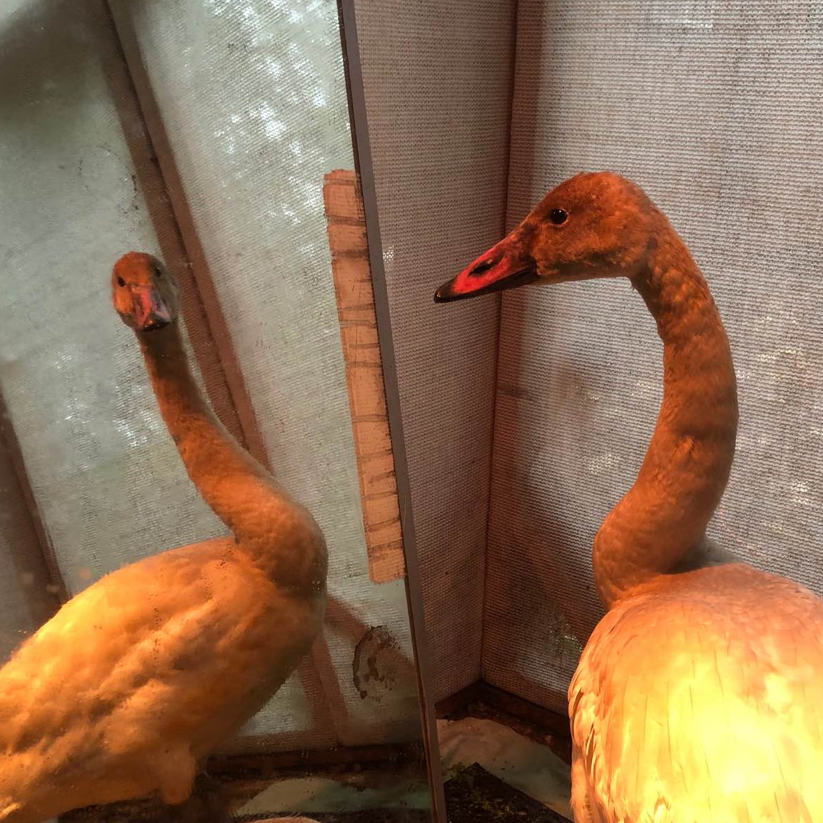 Rehabilitation Enrichment Tool