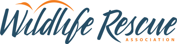 Wildlife Rescue Association