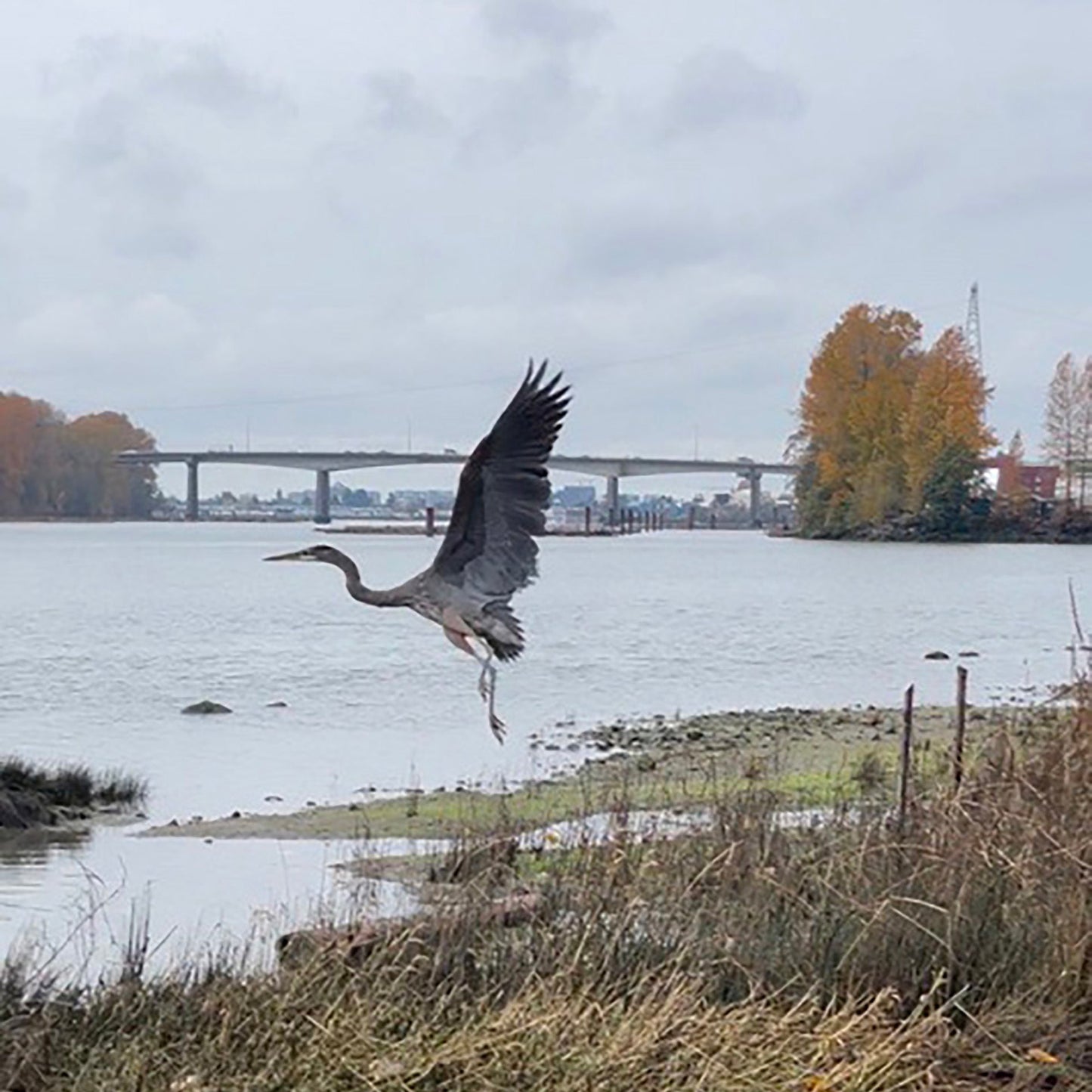 Full Wildlife Recovery Sponsorship