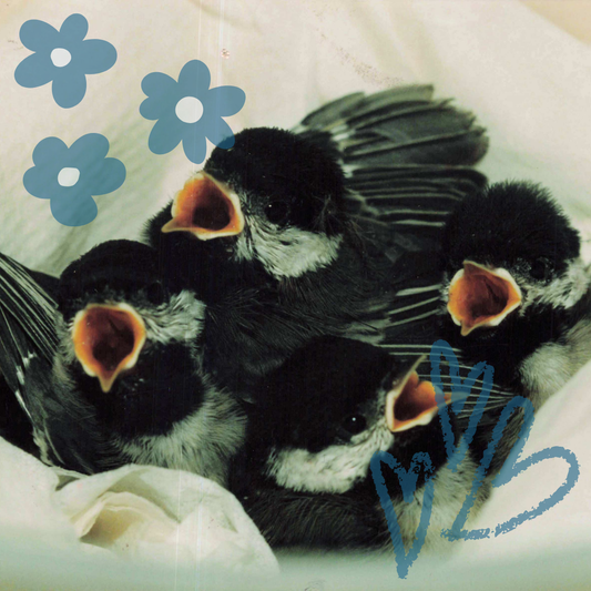 Comfort & Healing Care Bundle