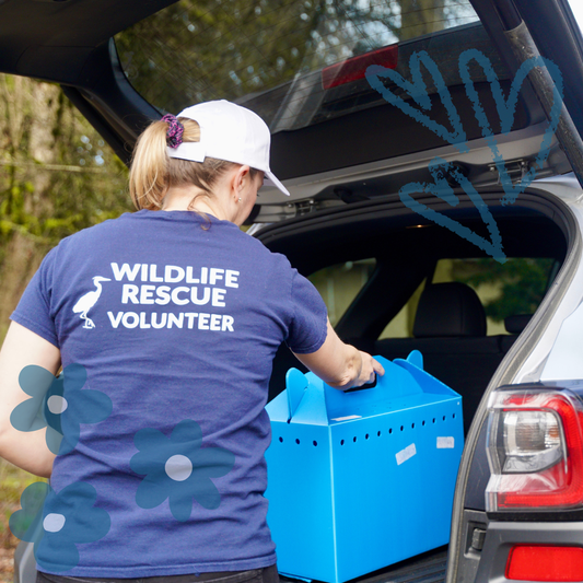 Sponsor a Wildlife Transport