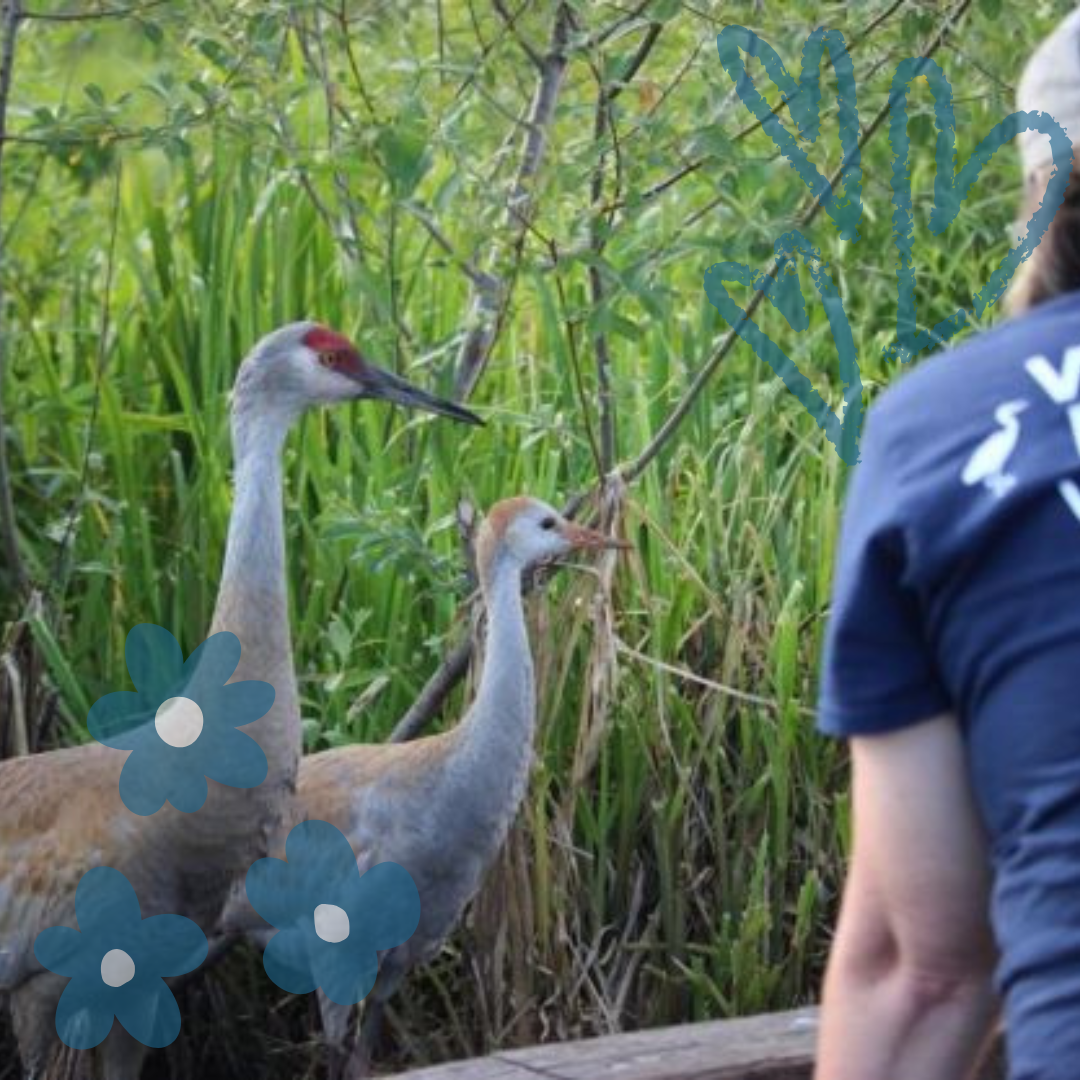 Wildlife Rescue Kit