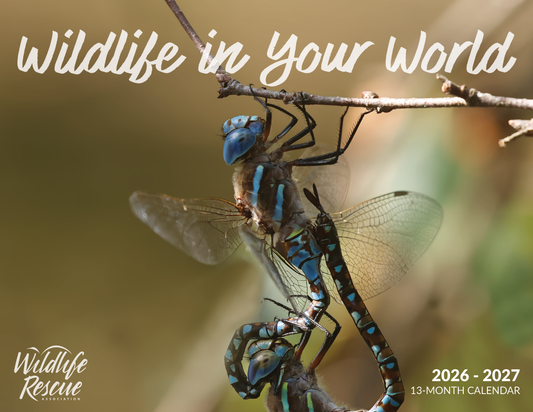 2026-2027 Wildlife Calendar
