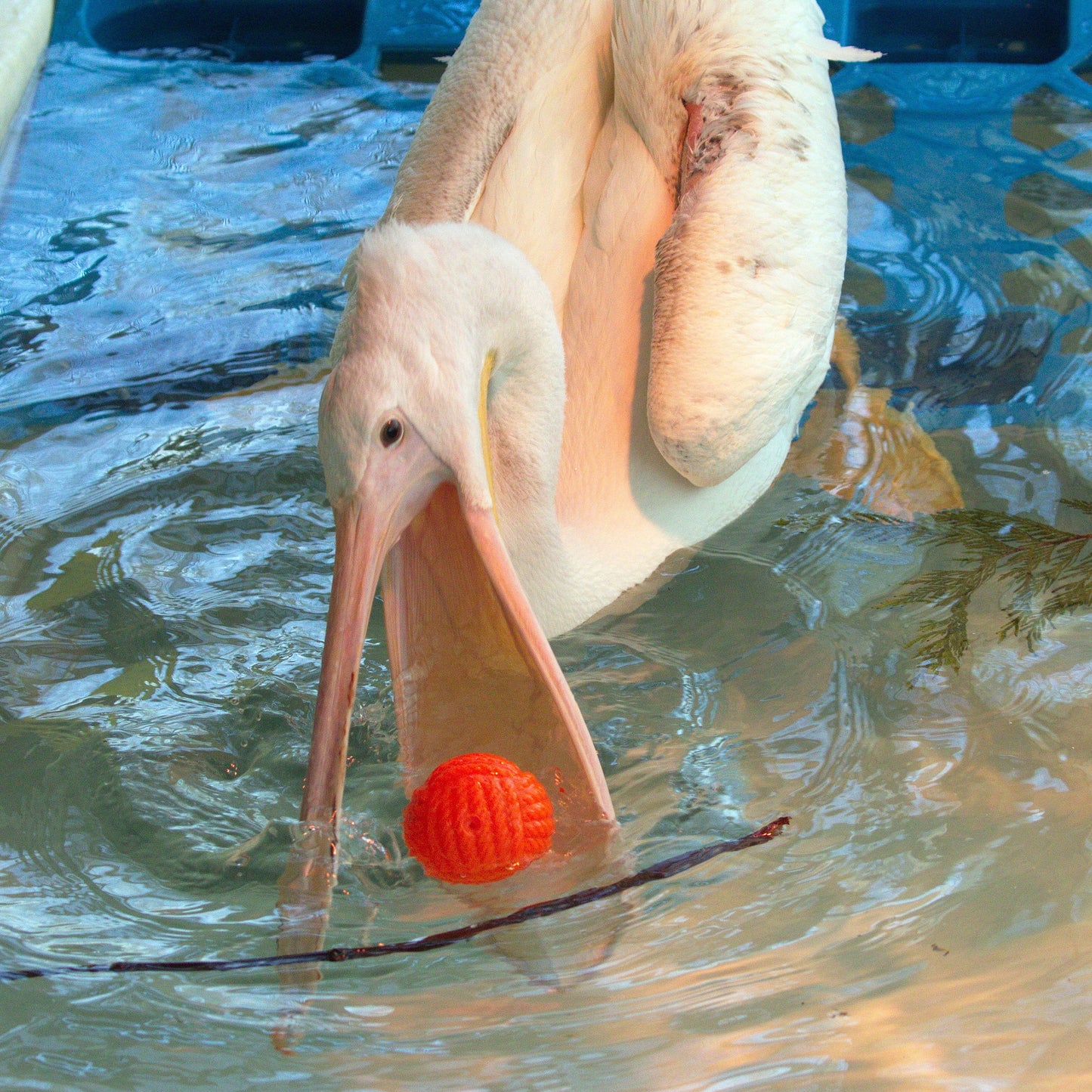 Comfort & Healing Care Bundle