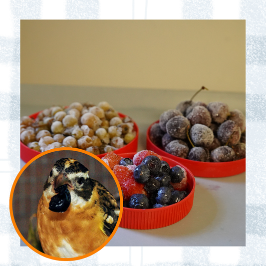 Berry Buffet