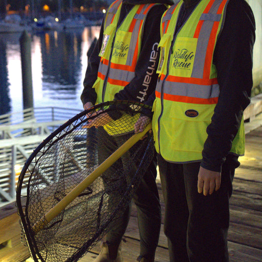 Wildlife First Aid & Rescue Kit