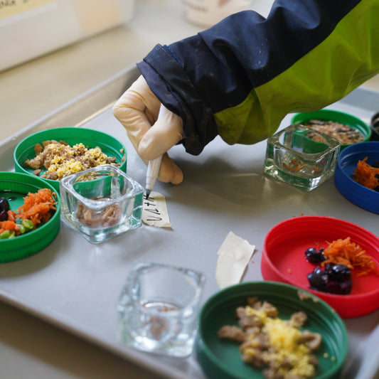 Tailored Meals for Wildlife