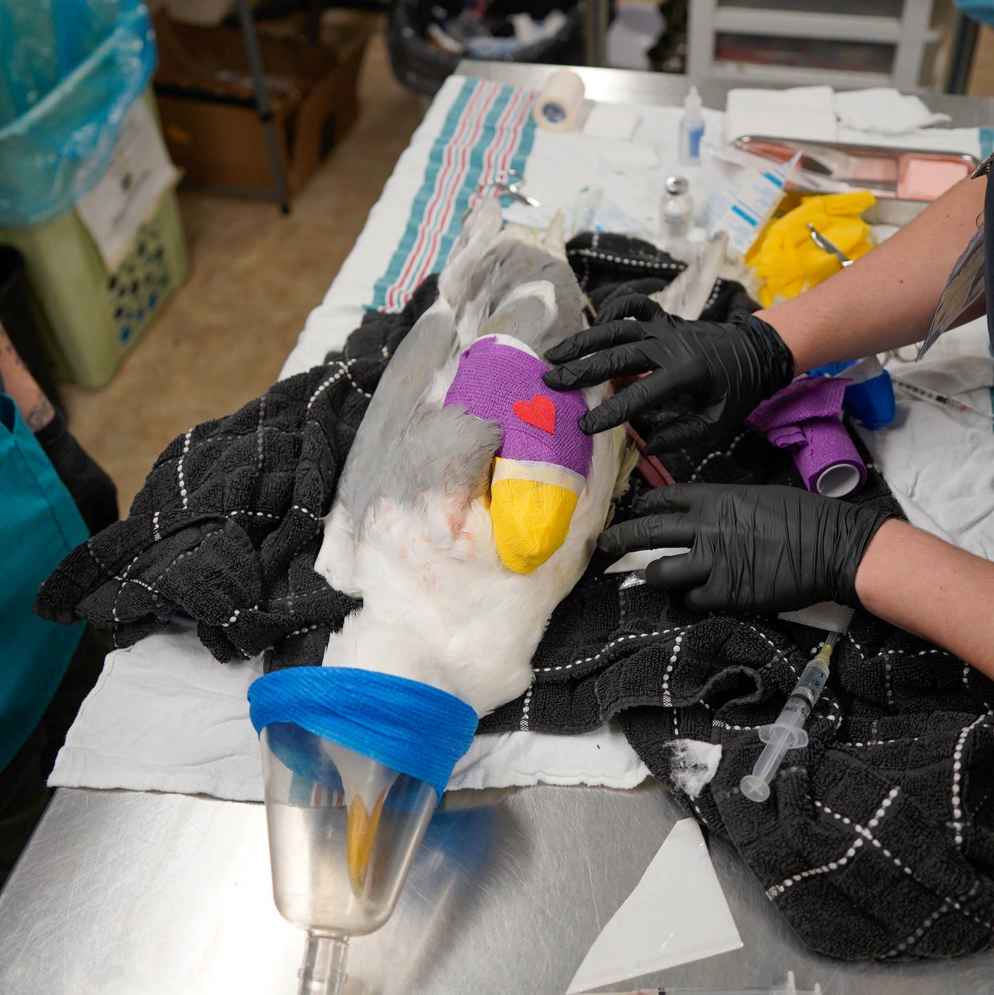 Specialized Emergency Medical Treatment