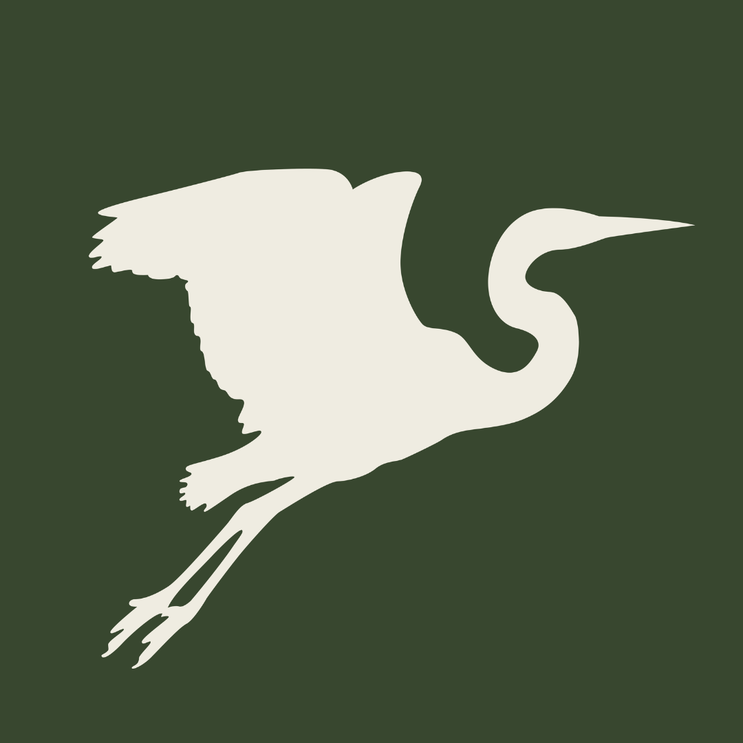 Symbolic Adoption - Great Blue Heron