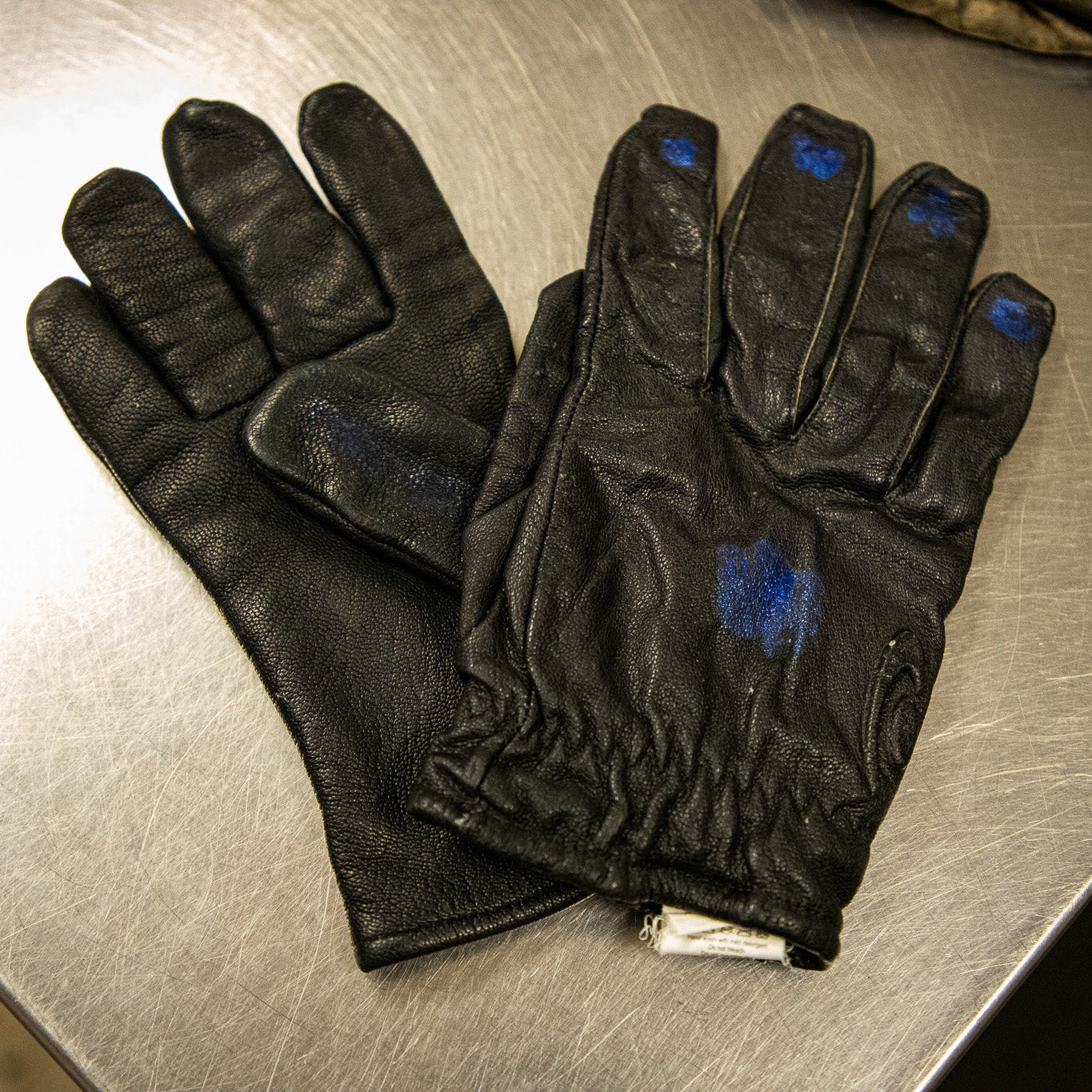 Wildlife First Aid & Rescue Kit