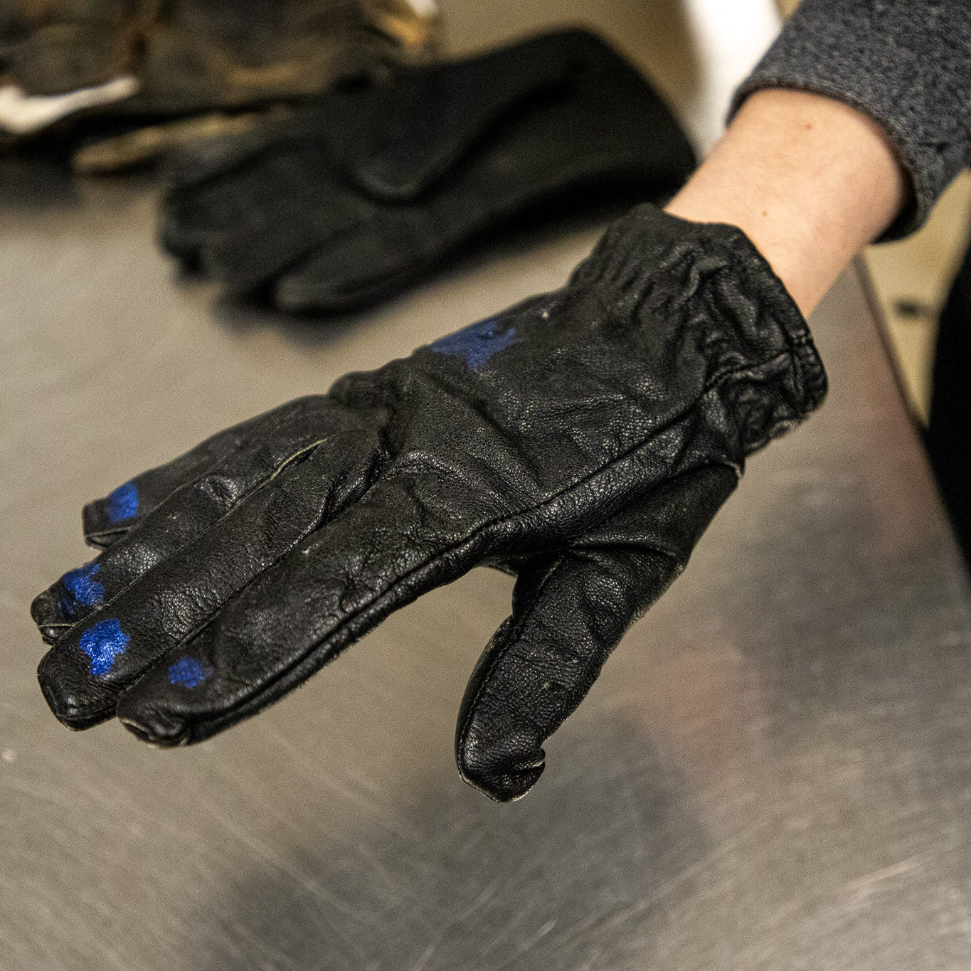 Wildlife First Aid & Rescue Kit