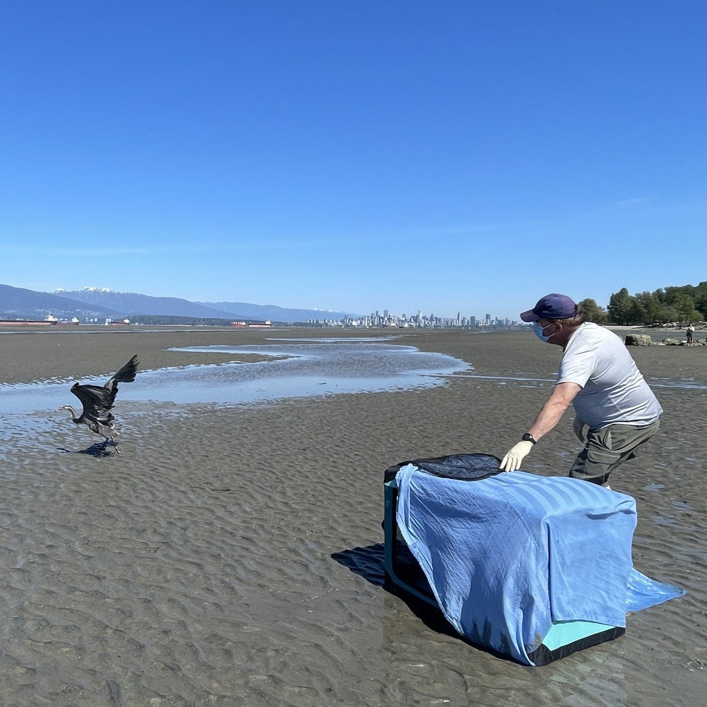 Sponsor the Release of a Wild Patient