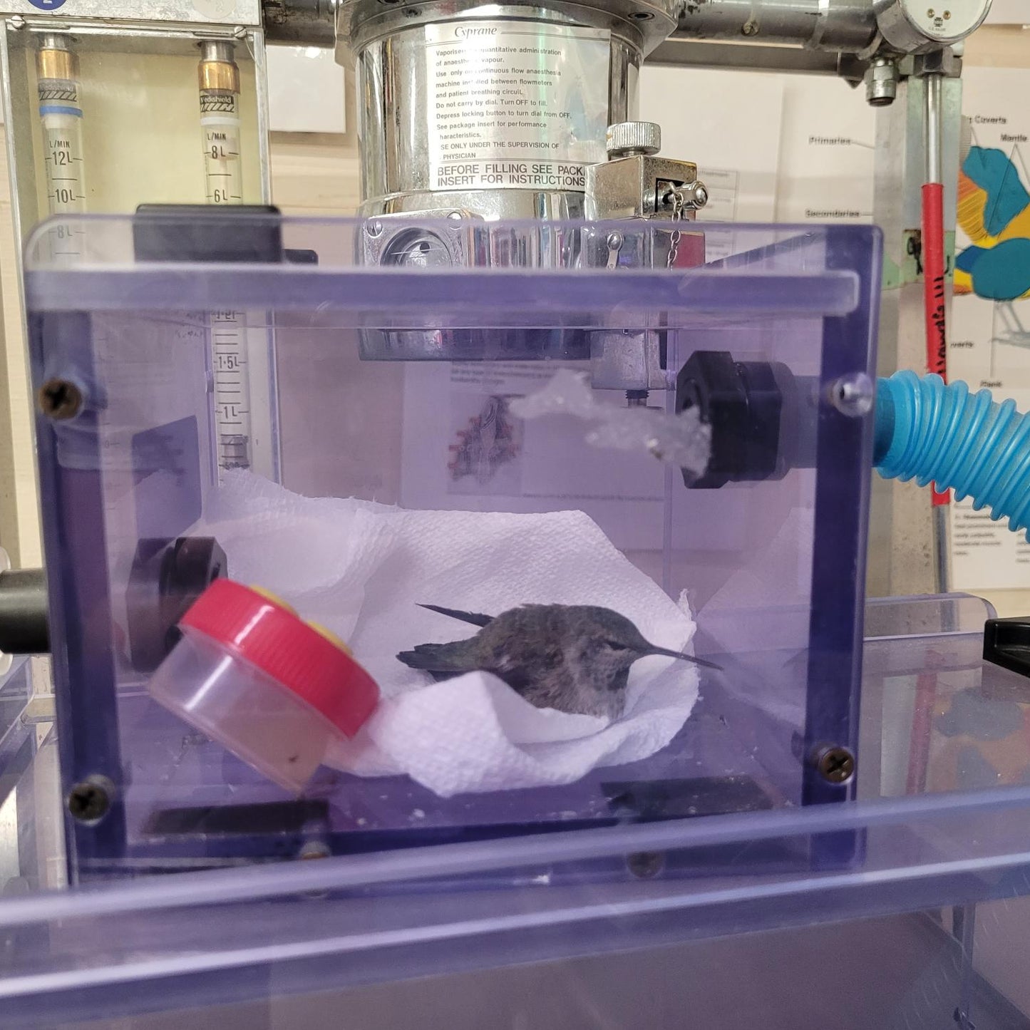 Hospital Equipment Upgrade